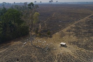 L'UE a récemment exhorté les pays sud-américains à être plus exigeants dans la lutte contre les crimes environnementaux.